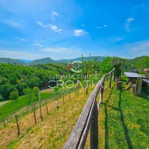 NA VRHU SVIJETA: kuća i 12.600 m2 zemljišta
