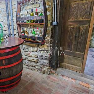 NA VRHU SVIJETA: kuća i 12.600 m2 zemljišta