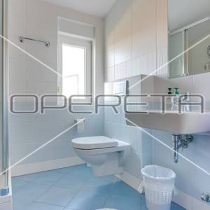 Najam, Kuća, Šestine, Dedići, Samostojeća, 300m2