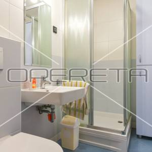 Najam, Kuća, Šestine, Dedići, Samostojeća, 300m2