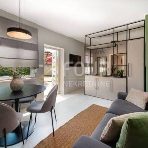 Najam, Rijeka, Zamet, manja kuća - namješten studio apartman!