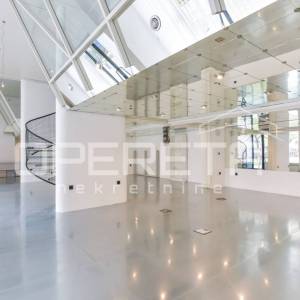 Najam, Ured, Centar, Laginjina, 230m2