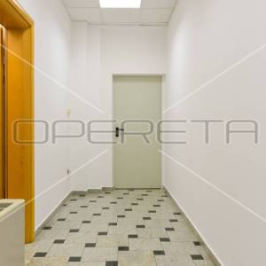 Najam, Ured, Lučko, Hrastovička , 450m2