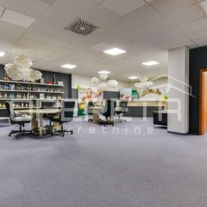Najam, Ured, Žitnjak, Slavonska avenija, 550m2