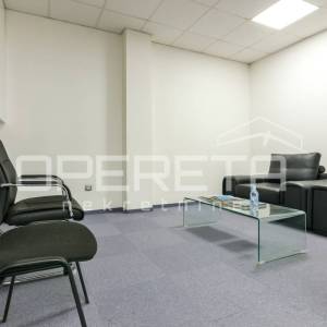 Najam, Ured, Žitnjak, Slavonska avenija, 550m2