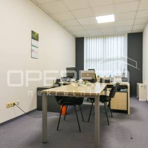 Najam, Ured, Žitnjak, Slavonska avenija, 550m2