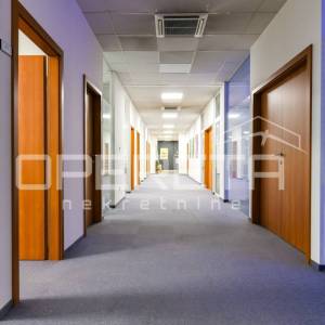 Najam, Ured, Žitnjak, Slavonska avenija, 550m2