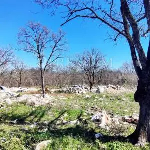 Njivice, prodaja građevinskog zemljišta pravilnog obilka!