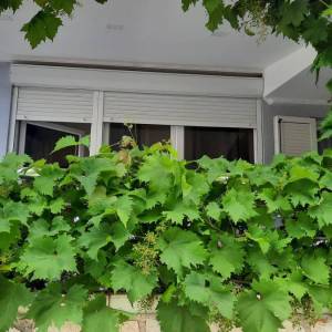 Novalja, Orlje, trosobni apartman, 67.63m2, pogled na more