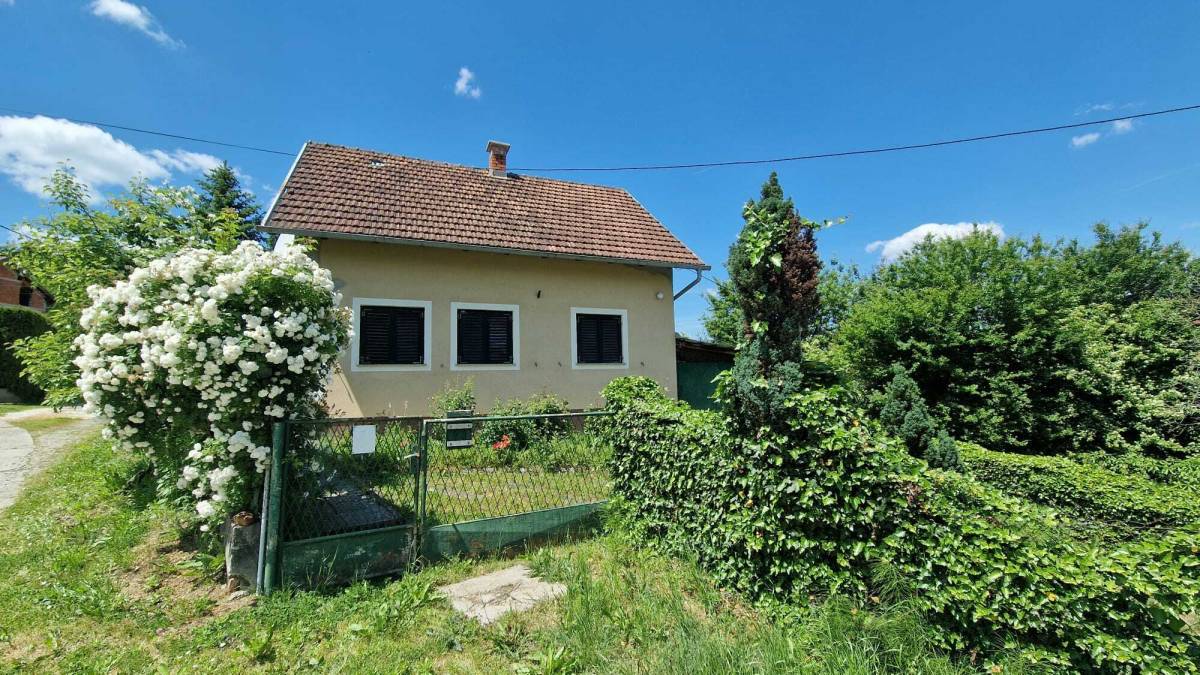 Obiteljska kuća s dvorištem