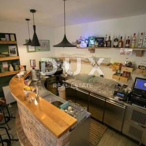 OGULIN, JASENAK - Šarmantan mini hotel u srcu prirode, 300m2 