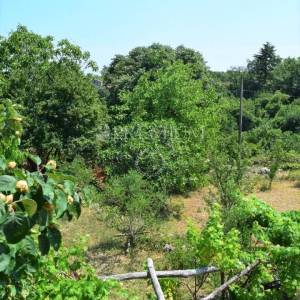 Okolica Dobrinja, dvojna kuća s više stambenih jedinica i okućnicom od 1000 m2!!