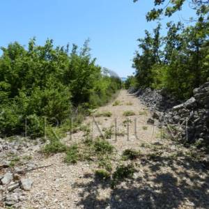 Okolica Krka, prodaja, poljoprivredno zemljište!