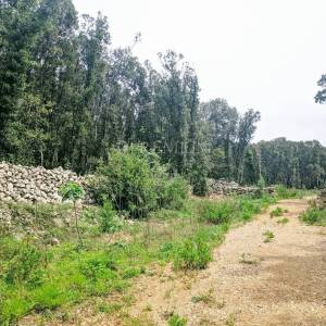 Okolica Krka, zemljište s izlazom na prirodnu plažu! 
