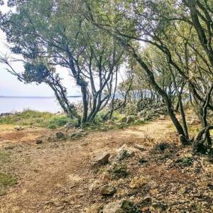 Okolica Krka, zemljište s izlazom na prirodnu plažu! 