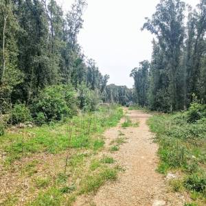 Okolica Krka, zemljište s izlazom na prirodnu plažu! 