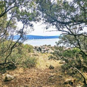 Okolica Krka, zemljište s izlazom na prirodnu plažu! 