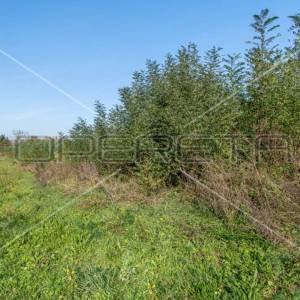 Okolica Kršana, građevinsko zemljište 891 m2 sa građevinskom dozvolom