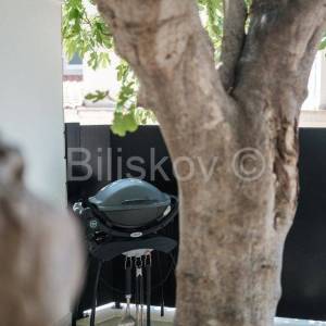 Okrug Gornji, prekrasna vila u blizini mora, prodaja