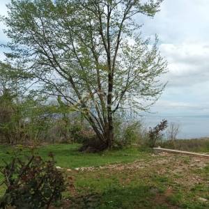 Opatija, Bregi, 2 samostojeće kuće na velikoj parceli od 2.246m2