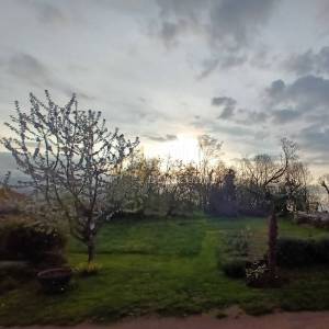 Opatija, Bregi, 2 samostojeće kuće na velikoj parceli od 2.246m2