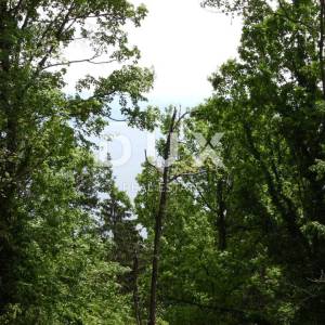 OPATIJA, BREGI - građevinsko zemljište 1230 m2 s pogledom na more za obiteljsku kuću/ villu/ apartmane/ kuću za iznajmljivanje ...