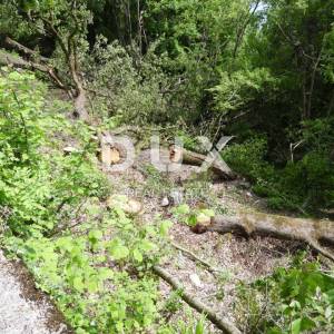 OPATIJA, BREGI - građevinsko zemljište 1230 m2 s pogledom na more za obiteljsku kuću/ villu/ apartmane/ kuću za iznajmljivanje ...