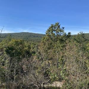 OPATIJA, BRGUD - ZEMLJIŠTE 4.348 m2