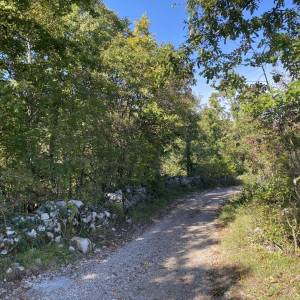 OPATIJA, BRGUD - ZEMLJIŠTE 4.348 m2