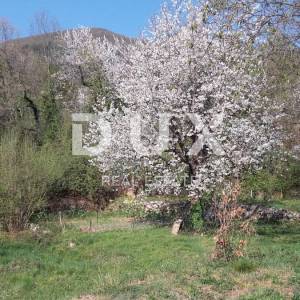 OPATIJA, BRSEČ - zemljište od 6500m2 u blizini mjesta Brseč