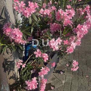 OPATIJA, CENTAR - Apartman 31m2 s pogledom na more