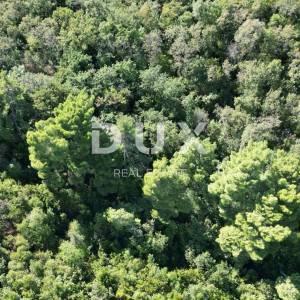 OPATIJA- građevinsko zemljište 10000m2 s panoramskim pogledom na more za stambenu zgradu-stanove-apartmane/ obiteljsku kuću/ ku...