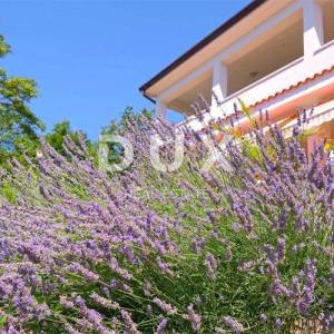 OPATIJA, IČIĆI, POLJANE - kuća/villa 380m2 sa pogledom na more i bazenom + okoliš 1500m2