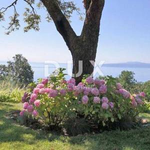 OPATIJA, IČIĆI, POLJANE - kuća/villa 380m2 sa pogledom na more i bazenom + okoliš 1500m2