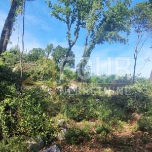 Opatija, Ičići, zemljište 771m2 - veći dio građevinski!