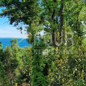 Opatija, Ičići, zemljište 771m2 - veći dio građevinski!