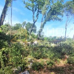 Opatija, Ičići, zemljište 771m2 - veći dio građevinski!