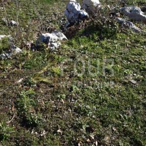 Opatija, Ika, građevinsko zemljište 988m2