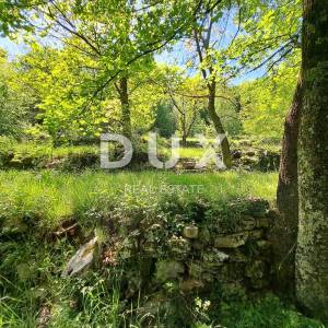 OPATIJA, KOLAVIĆI - građevinsko zemljište 3000m2 s panoramskim pogledom na more