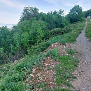 OPATIJA, KOLAVIĆI- građevinsko zemljište 7533m2 s panoramskim pogledom na more za obiteljsku kuću/ villu/ stambenu zgradu-stano...