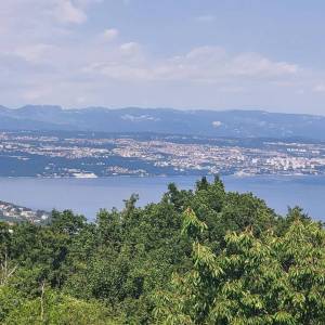 OPATIJA, LOVRAN, DOBREĆ - kuća 390m2 s prekrasnim pogledom na more + okućnica 850m2
