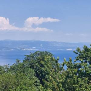OPATIJA, LOVRAN, DOBREĆ - kuća 390m2 s prekrasnim pogledom na more + okućnica 850m2