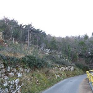 OPATIJA, LOVRAN, LIGANJ - građevinsko zemljište 2270m2 s pogledom na more