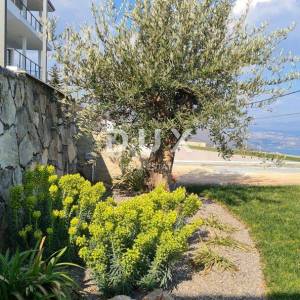 OPATIJA, LOVRAN, LIGANJ - Stan u vili s bazenom 120m2+terasa 27m2s panoramskim pogledom na more + okoliš 105m2
