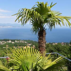 OPATIJA, LOVRAN - luksuzna vila s predivnim pogledom na more, bazenom i okućnicom površine 500m2