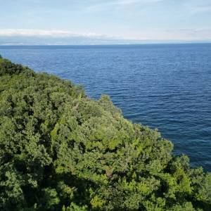 OPATIJA, MEDVEJA- građevinsko zemljište 8000m2- 1. RED DO MORA!!! za hotel/ boutique hotel/ motel/ apartmane/ ville/ kuće za iz...