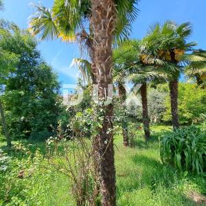 OPATIJA, OPRIĆ - obiteljska kuća s tri stambene jedinice na parceli od 1890 m2 