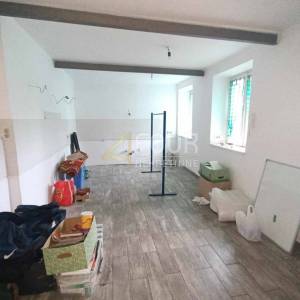 Opatija, Pobri, samostojeća kuća, 337.40m2, garaža, konoba