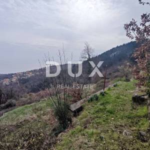 OPATIJA, POLJANE - Starina, 2 gospodarske zgrade, 5500 m2, panoramski pogled!