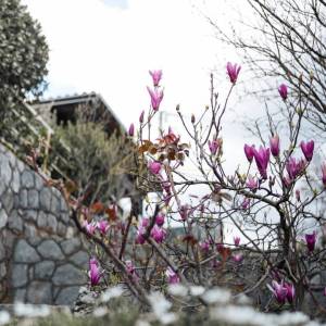 Opatija, Veprinac, kuća, 400m2, balkon s pogledom na more, garaža